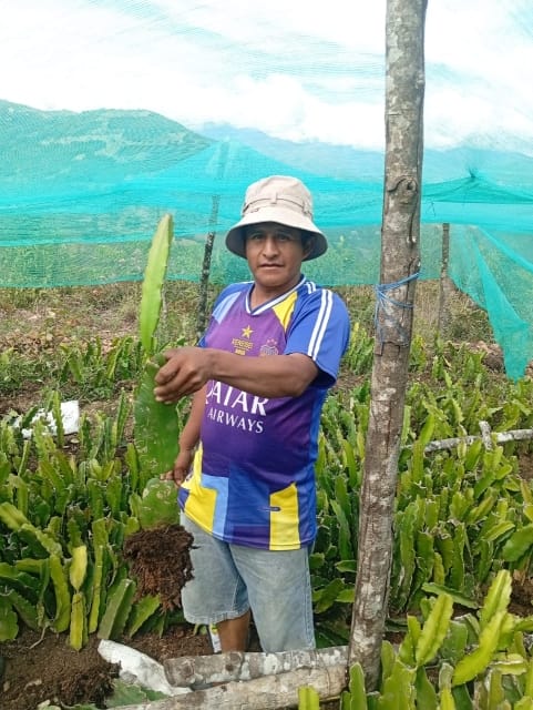 Entregaplantines (5)