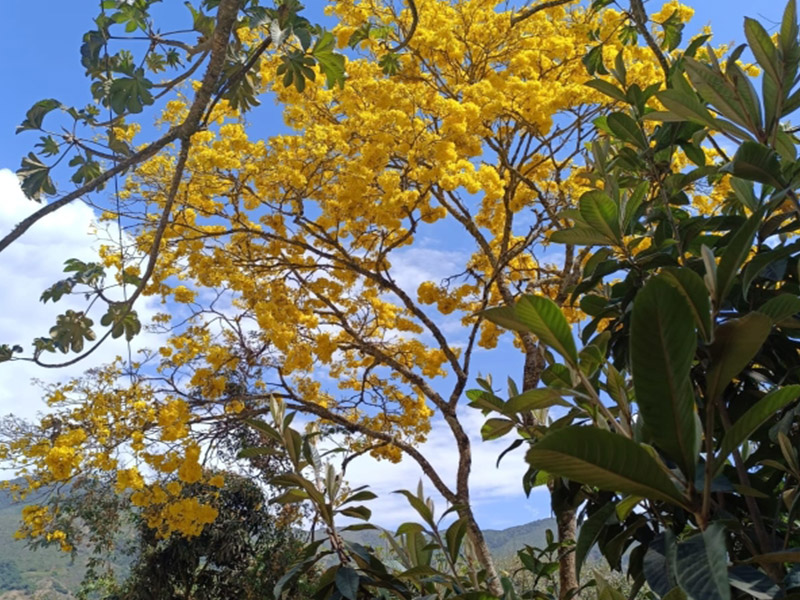 g3_0000_gi2 (4) g3_0000_gi2 (4)