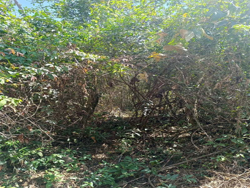 g3_0001_gi2 (3) g3_0001_gi2 (3)