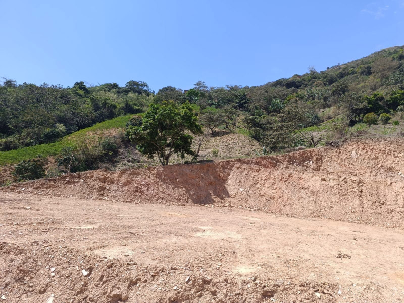 g3_0002_gi2 (2) g3_0002_gi2 (2)