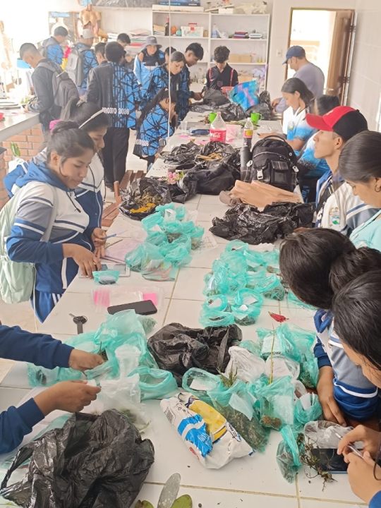 WhatsApp Image 2026-01-19 at 09.42.41_1