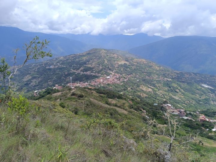 WhatsApp Image 2026-01-19 at 09.42.42 (2)_1