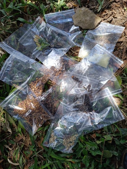 WhatsApp Image 2026-01-19 at 09.42.42_1