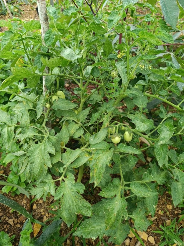 gestion2025 (13) gestion2025 (13)