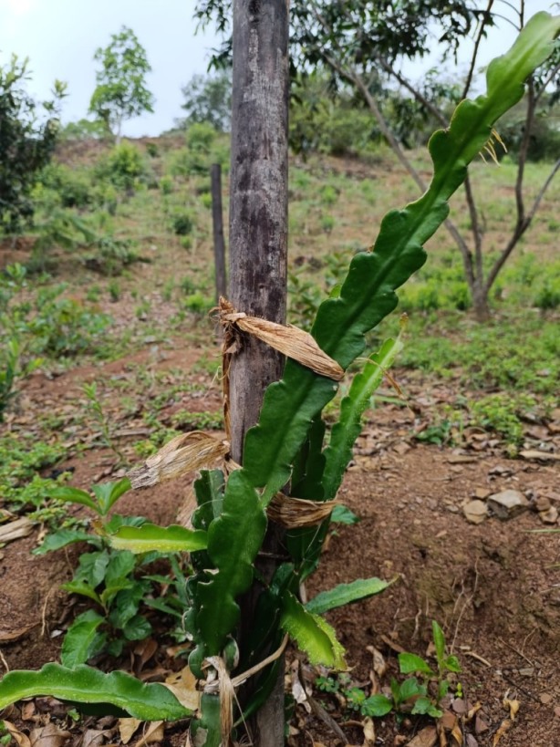 gestion2025 (14) gestion2025 (14)