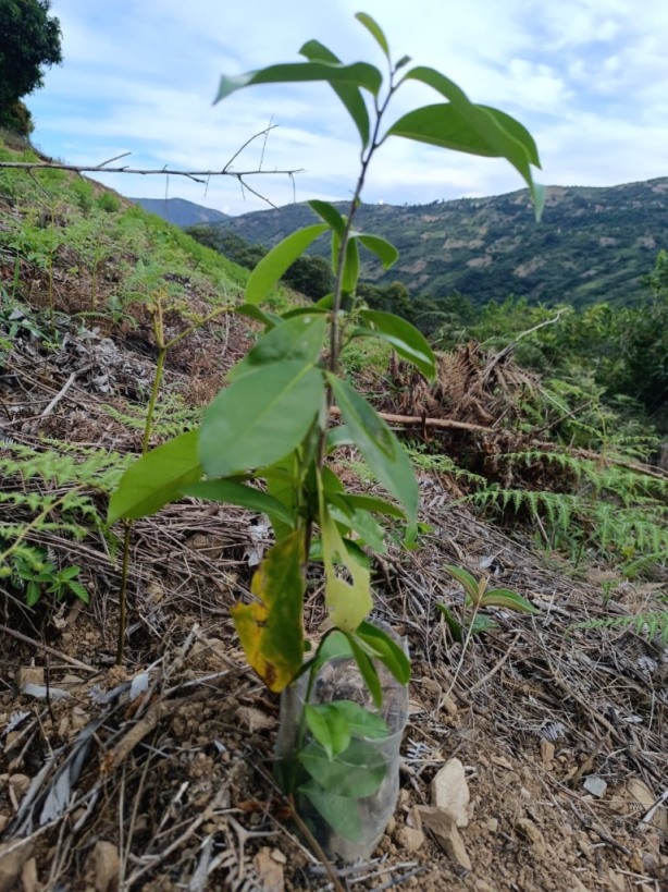 gestion2025 (15) gestion2025 (15)