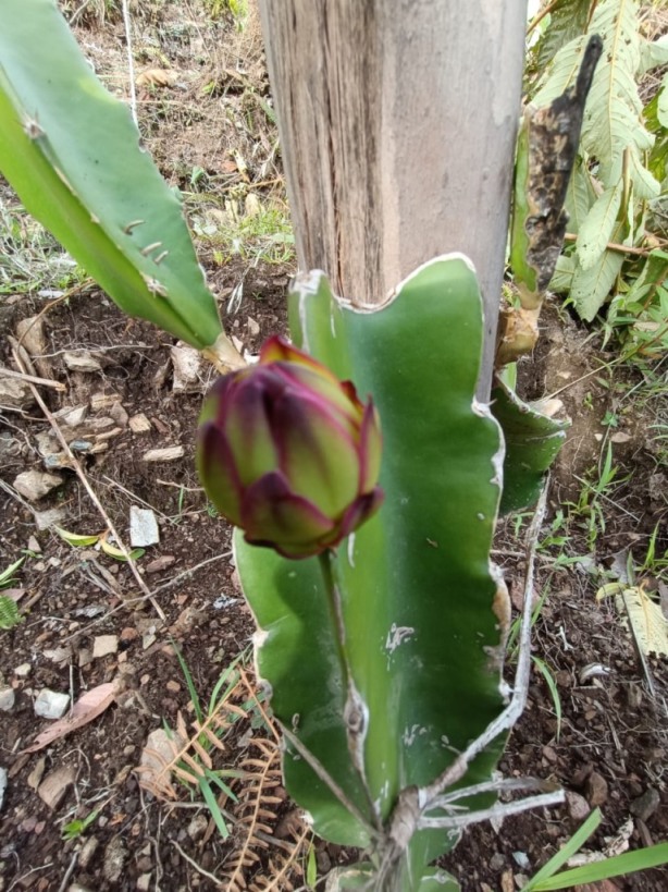 gestion2025 (16) gestion2025 (16)