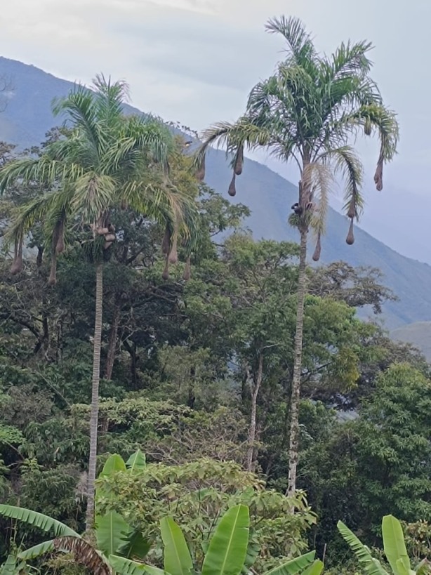 gestion2025 (2) gestion2025 (2)