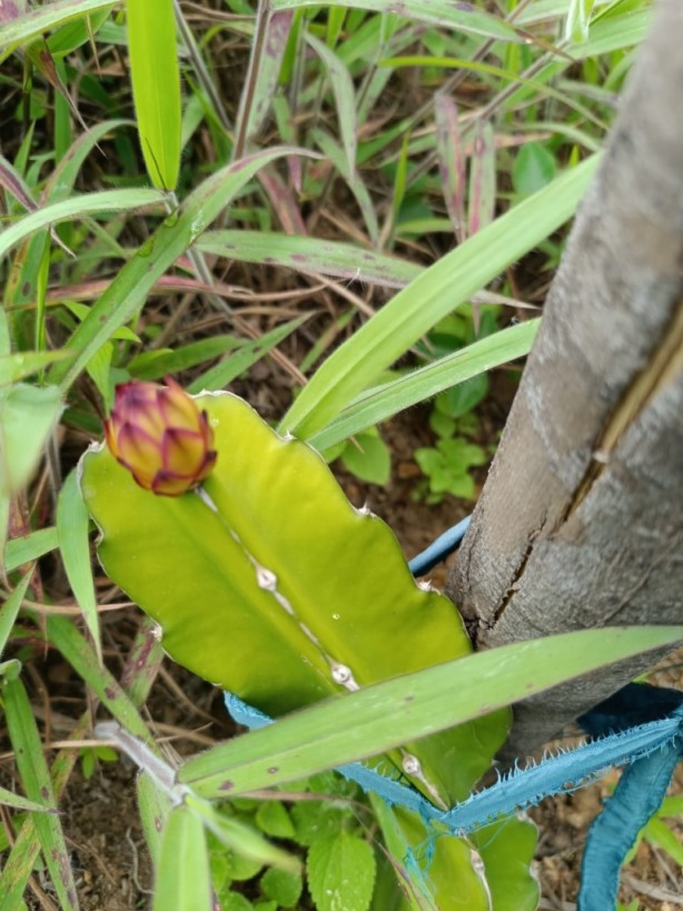 gestion2025 (5) gestion2025 (5)