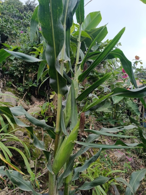 gestion2025 (7) gestion2025 (7)